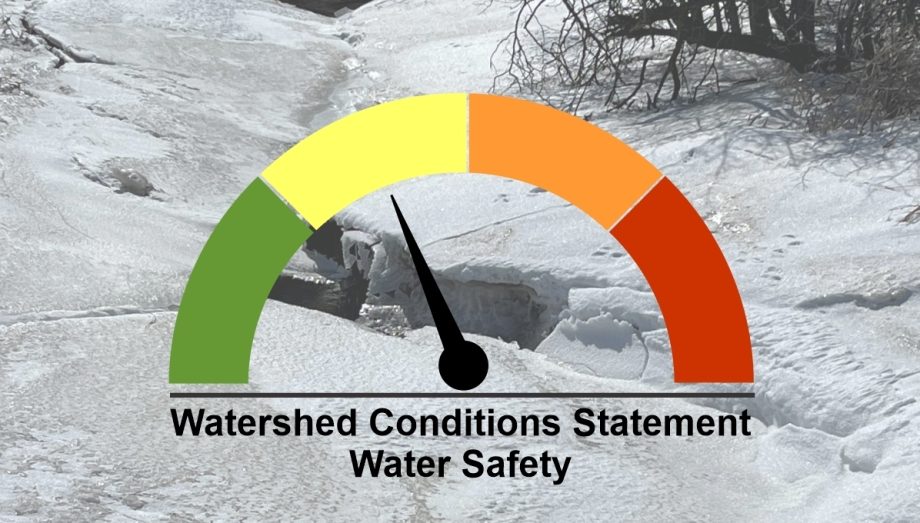 483558991 1060882192747058 5468045031428248409 n