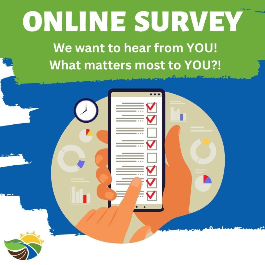 Online Survey