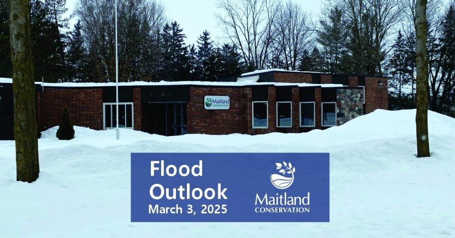 481667693 1054418580060086 1383270495831286871 n