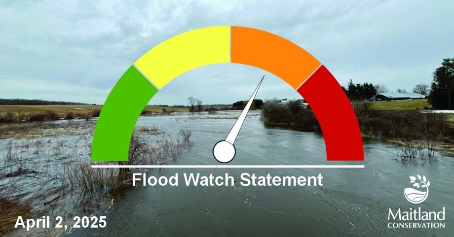 488686887 1078364554332155 7459698609843727812 n