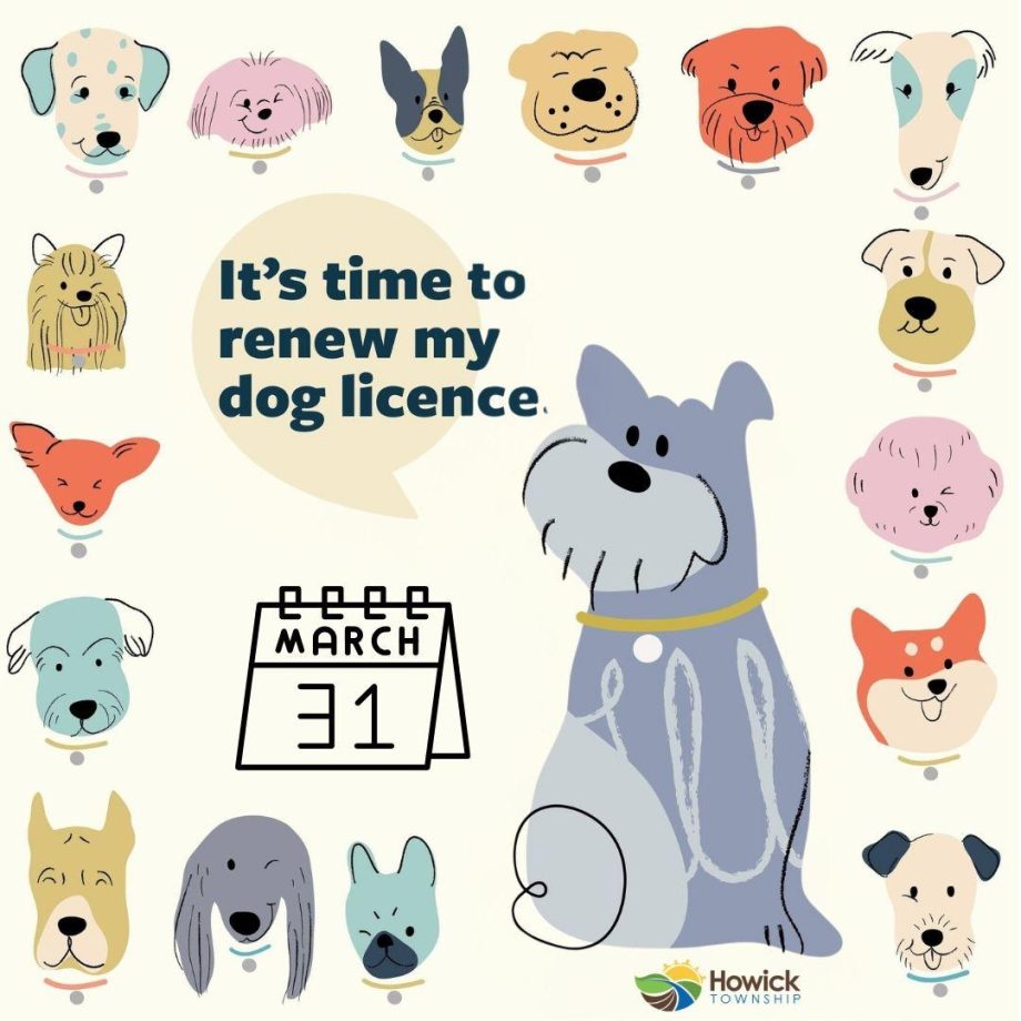 Dog Licence renewal