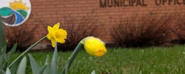 1fd6de01 bd6d 4492 918f 509978ae87ae