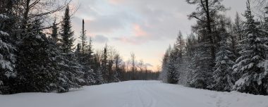 PXL 20260122 130032358