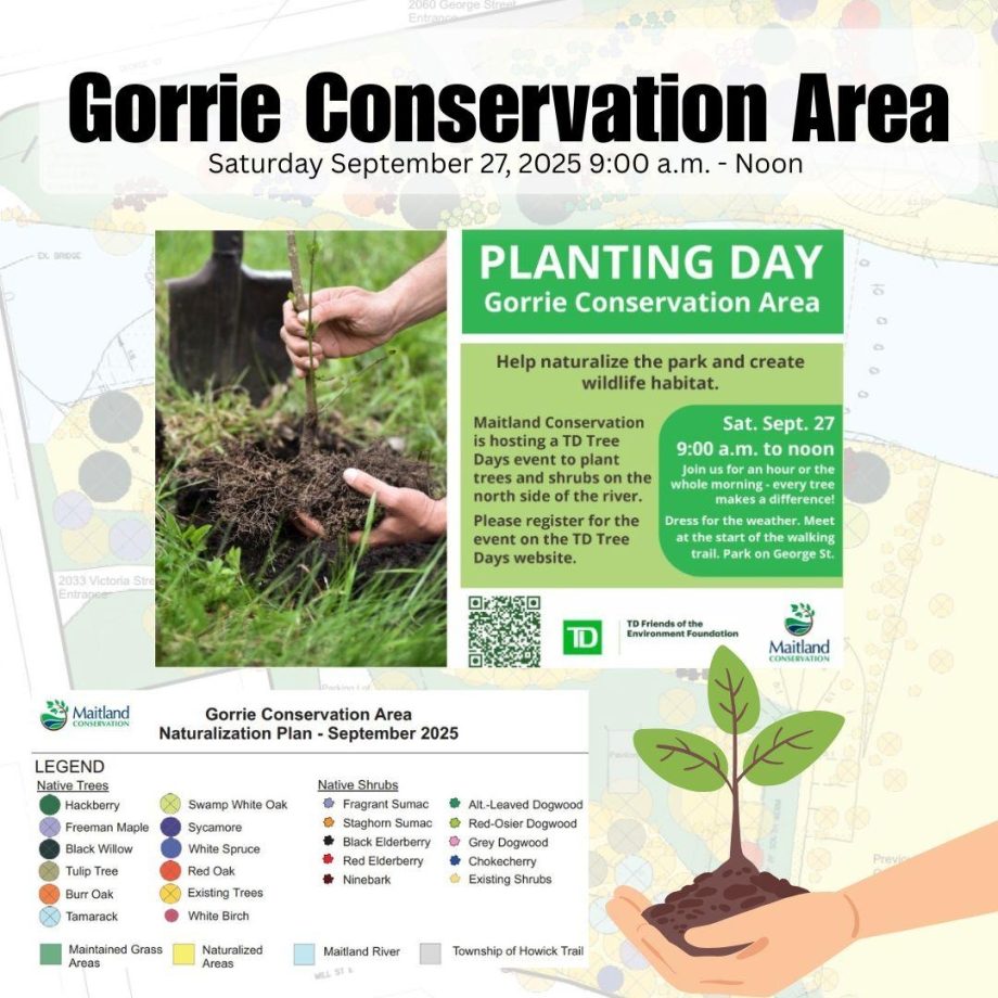 Maitland Valley Gorrie