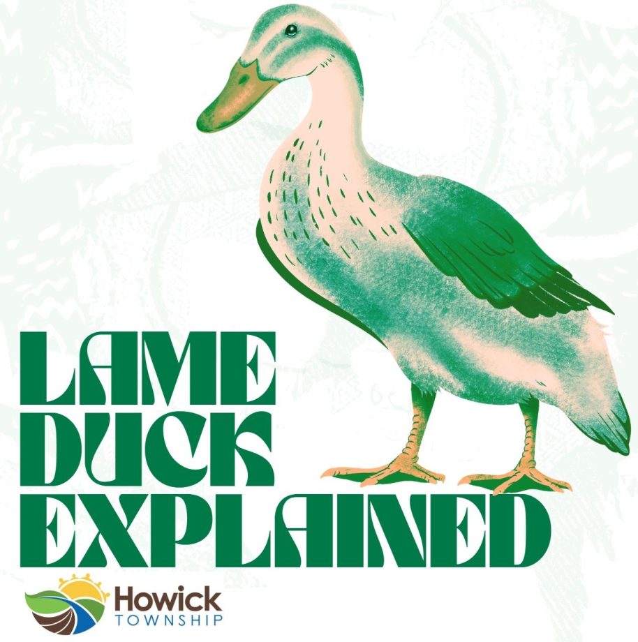 Lame duck