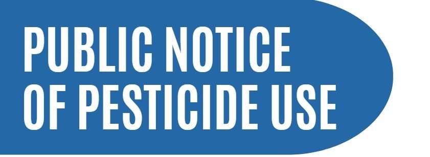 Pesticide